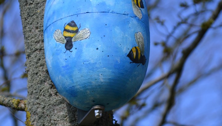 Så er fuglehusene ferniserede og indflytningsklare.