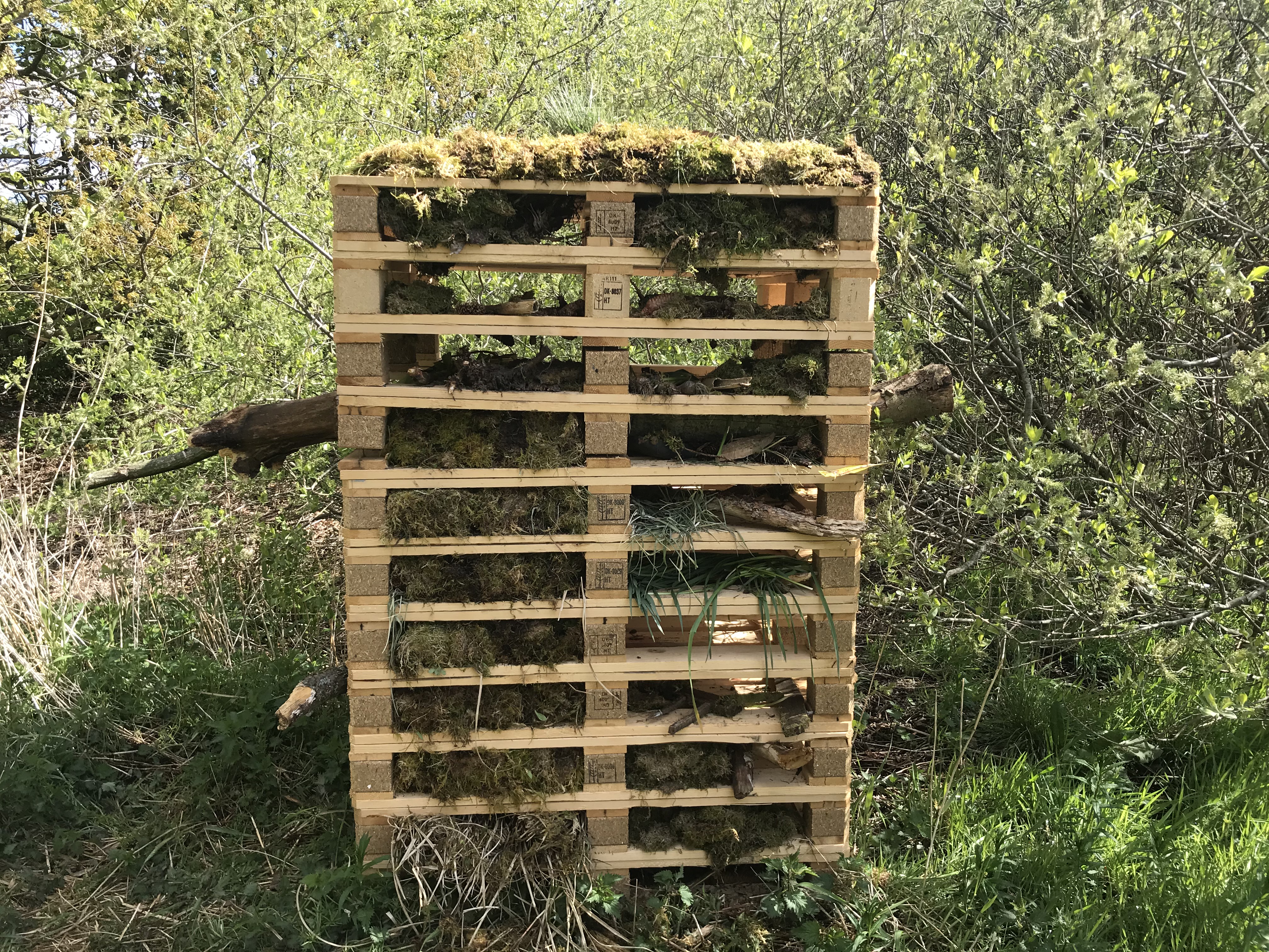 Insekthoteller i Urskoven