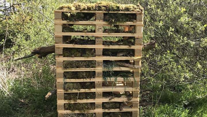 Insekthoteller i Urskoven